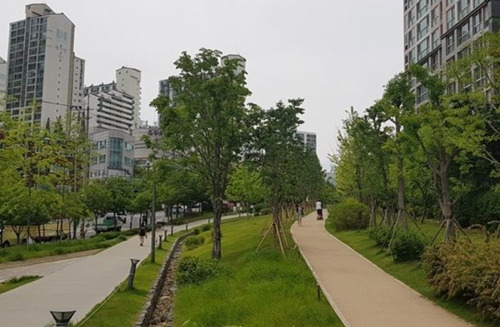 韓国 お金持ち地域 セレブ 高級住宅街